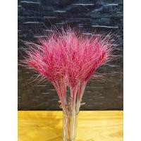 ราคา ดอกข้าวบาร์เลย์ (สีชมพู) พร๊อพถ่ายรูป พร๊อพแต่งจาน 15 ก้าน ความยาว 40cm. ข้าวสาลีแห้ง ช่อดอกไม้แห้ง (5092656219)