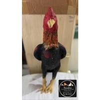 ราคา ตุ๊กตาไก่ชน ตุ๊กตาทำจากยางไก่ชน ตุ๊กตาเลียนแบบไก่ชน ไก่ชน (10160730223)