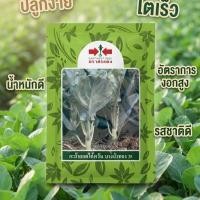 ราคา คะน้ายอดไต้หวัน "บางบัวทอง 35" ตราศรแดง พันธุ์ดีคุณภาพเยี่ยมที่เกษตรกรและคนรักการปลูกผักต้องมีติดสวน! (40684255992)