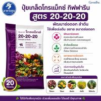 ราคา 20กิโลกรัม ปุ๋ย ปุ๋ยเกล็ด กิฟฟารีน โกรแม็กซ์ สูตร20-20-20 บำรุงทุกส่วน (46557019854)