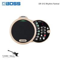 ราคา Boss DR-01S Rhythm Partner กีตาร์อะคูสติกกลองเครื่อง Metronome กีตาร์อุปกรณ์เสริม DR 01S (28918611591)