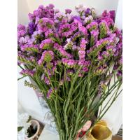 ราคา -คละสี-ช่อดอกสแตติสอบแห้งสวยๆ ดอกไมจริง *ช่อใหญ่*10-12 กอ เก็บไว้ได้นาน จัดช่อ ปัจฉิม วาเลนไทน์ ช่อดอกไม้ สวยมาก (25609753999)
