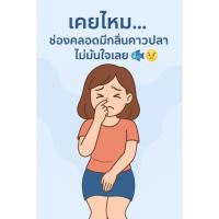 ราคา Balance Activ เจลใส่ในช่องคลอดสำหรับภาวะช่องคลอดอักเสบจากเชื้อแบคทีเรีย (42206584925)
