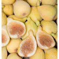 ราคา ต้นมะเดื่อฝรั่ง Figs ต้นฟิกส์ สายพันธุ์ Peters Honey ลำต้นสูง 30-40 ซม กระถาง 6 นิ้ว (6192612714)