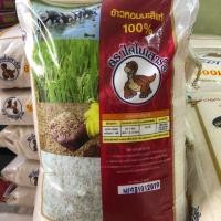 ราคา ข้าวหอมมะลิ ตราไดโนเสาร์ 15 กก.(ข้าวเก่า) หอมมะลิแท้ 100% ข้าวไดโนเสาร์ (1936746072)