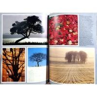 ราคา Creative Colour Photography Techniques by Keith Faulker, 1990 Hardcover (41905390222)