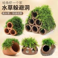 ราคา ปลาตู้ปลามอสเครื่องปั้นดินเผาหม้อพืชน้ําภูมิทัศน์กุ้งปลาดอดจ์หม้อบ้านกุ้งเครื่องประดับขนาดเล็กปลาขนาดเล็กเพาะพันธุ์ดอดจ์บ้าน (55563300944)