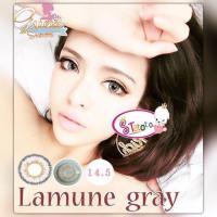 ราคา Lamune gray by TATOTO Contact Lenses บิ๊กอาย #295 (7612829468)