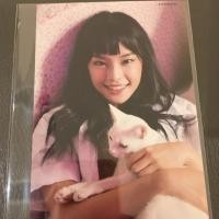 ราคา [BNK48] รูปสุ่มจาก Photobook (1005765990)