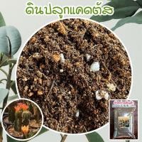 ราคา ดินแคคตัส ดินปลูกกระบองเพรช ดินปลูกไม้อวบน้ำ cactus สมุนไพร ไม้ด่าง ไม้ฟอกอากาศ เพาะเมล็ด กระบองเพชร (29371194571)