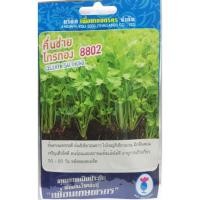 ราคา เมล็ดคึ่นช่าย (celery) ไทรทอง 3,000 เมล็ด จากไต้หวัน กลิ่นหอม ต้นแข็งแรง เติบโตเร็ว แตกกอดี ทนร้อน ทนแล้ง (1491191538)