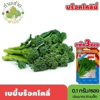 ราคา [แพ็ค 3 ซอง] 3A เมล็ดพันธุ์ เบบี้บร็อคโคลี่ ขนาดซองละ0.1กรัม ประมาณ10เมล็ด/ซอง BABY BROCCOLI บร๊อคโคโลนี่ บลอคโคลี่ เบบี (3151879186)