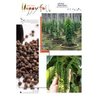 ราคา พริกไทย เมล็ดพันธุ์พริกไทยดำ พริกไทยดำ เมล็ดพันธุ์ผัก 40 เมล็ดพันธุ์ (7662829785)