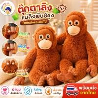 ราคา ส่งจากไทยพร้อมส่ง ตุ๊กตาลิง แม่ลิงพันช์คุง ห้อยหลังและเอวได้ Punchi-kun ตุ๊กตาแม่ลิง ตุ๊กตาลิง (48610553546)