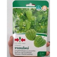 ราคา เมล็ดมะระจีน วาเลนไทน์ 10เมล็ด ศรแดง (5425210994)