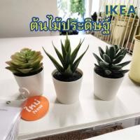 ราคา IKEA ต้นไม้ประดิษฐ์ในกระถาง ชุด 3 ชิ้น (11973298990)