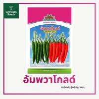 ราคา อัมพวา โกลด์ เมล็ดพันธุ์พริก พริกลูกผสม ตราตะวันต้นกล้า ลอตใหม่ (48614452105)