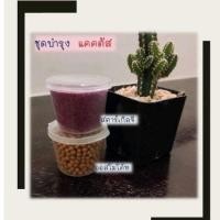 ราคา ปุ๋ยแคคตัส ปุ๋ยบำรุงแคคตัส ปุ๋ยปลูกแคคตัส ปุ๋ยใส่เเคคตัส ปุ๋ยเร่งดอกแคคตัส (10654623824)