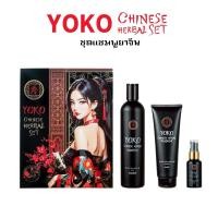 ราคา แชมพูยาจีน เร่งผมยาว 1 ชุด 3 ชิ้น สุดคุ้ม (44362128536)