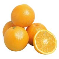 ราคา ส้มนาเวลออสเตรเลีย 500กรัม AUS Navel Orange Pack 500g. (52817517568)