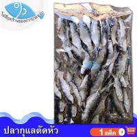 ราคา ไต๋ฮ๊อด ปลากุแลตัดหัว 300กรัม 1แพ็ค ปลากุแล ปลากูแล ปลากุแลแห้ง ปลาหลังเขียว ปลาหลังเขียวตากแห้ง (5722256580)