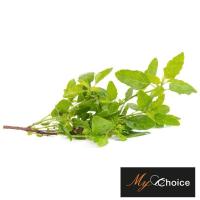 ราคา มายช้อยส์กระเพรา My Choice Holy Basil (48117596785)