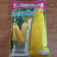 ราคา ข้าวโพดหวานลูกผสม หวานสวีท 500g ตราตะวันต้นกล้า เมล็ดพันธ์ุข้าวโพด ข้าวโพดหวาน (52906773338)