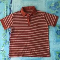 ราคา เสื้อโปโล มือสอง ยี่ห้อแตงโม (1256411901)