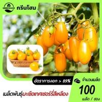 ราคา มะเขือเทศ เชอรี่สีเหลือง100เมล็ด เมล็ดพันธุ์ มะเขือเทศ เชอรี่ ปลูกง่ายผลดกสีสวยทานอร่อย (29374668932)
